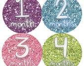 Monthly Baby Onesie Stickers Baby Month Stickers Baby Girl Stickers Monthly Onesie Stickers Baby Shower Gift Photo Prop Milestone Stickers