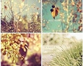 Autumn Life (Set of four 5x5) Fine Art Photographs