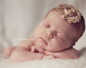 Shabby Chic Frayed Chiffon Caramel Rosette with Satin Matching rolled Rosette Headband. Newborn, Baby Girl, Adult Pick your size.