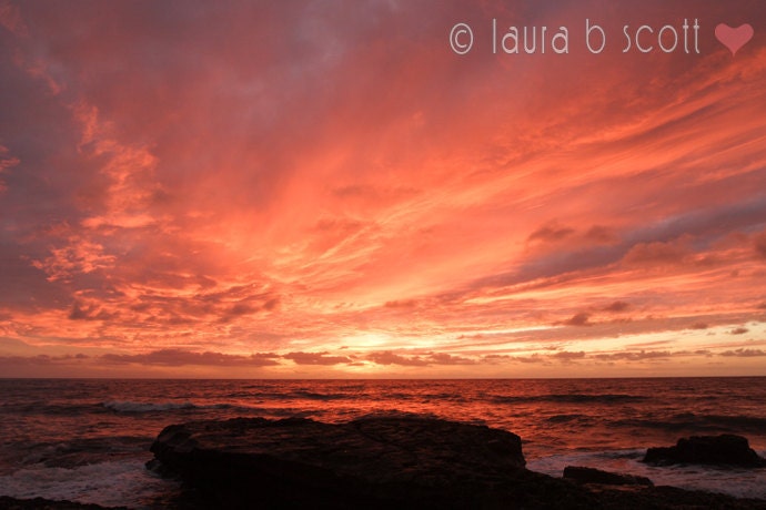 Beach sunset - fine art photograph print - orange coral yellow -11x14 - san diego southern california