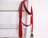 Ribbon Dog Leash - 5/8 inch width - 5 foot length - Choose your ribbon