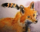Premium Menagerie - You pick the animals