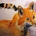 Premium Menagerie - You pick the animals