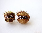 Whimsy photo - Friends - Fall harvest autumn - Brown green white auburn Chestnuts - Any size up to 20x30 Digital download