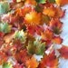 Cake Decoration Gum Paste Edible Maple leaves