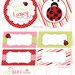 LADYBUG Custom Printable Birthday Party Pack - DIY