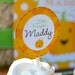 Our Lil' Little Pumpkin Patch Custom Birthday Pack - DIY Printable as seen on Hostess Blog