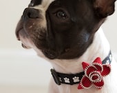 Red Zipper Dog Collar Flower - Free Shipping Worldwide