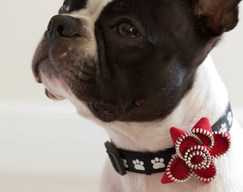 Red Zipper Dog Collar Flower - Free Shipping Worldwide