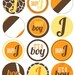 Giraffe Baby Shower PRINTABLE PARTY CIRCLES by Love The Day