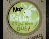 rabbit magnet