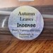Autumn Leaves Small Incense Sticks . 10 pack .