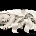 Peek-a-Boo Hanging Cocoon - Hanging Pod - Newborn Photography Prop