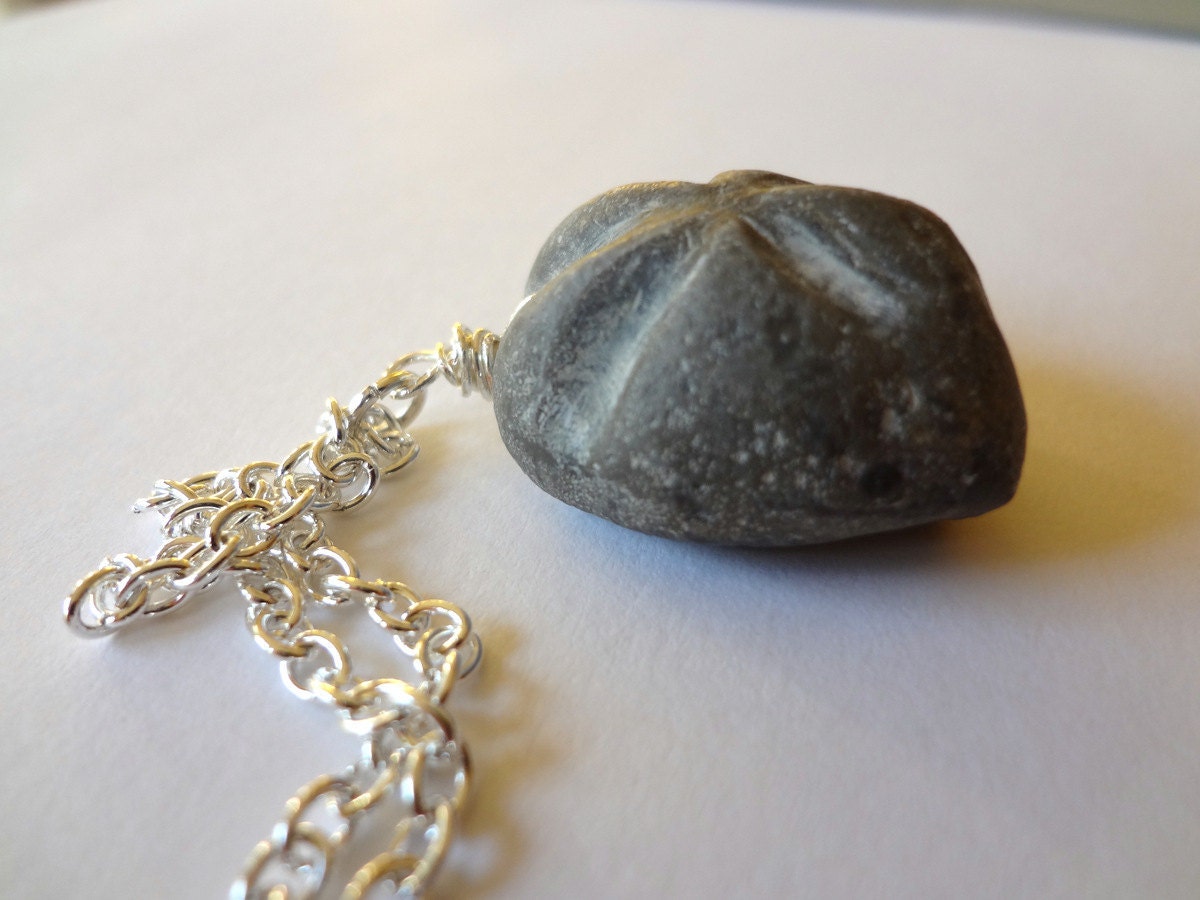 Heart Urchin fossil necklace