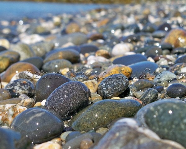 Smooth Rocks Fine Art Photograph - rocky beach 8x10 photo