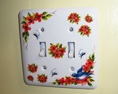 Blue Bird steel double light switch cover