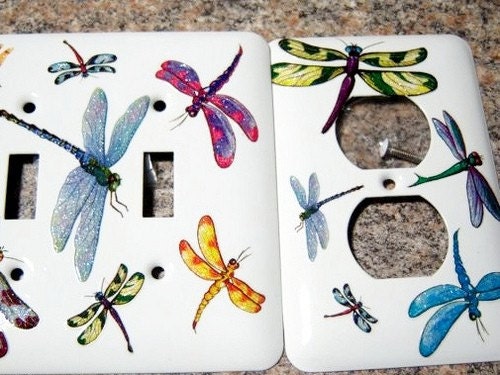 Dragonfly steel double light switch, outlet cover