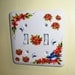 Blue Bird steel double light switch cover