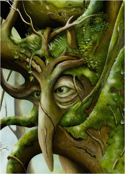 Art Print - Enchanted Woods - Magic Tree - A3 (11.7x16.5) Print by John Emanuel Shannon