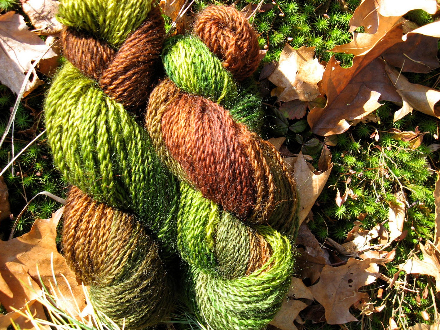 Brown and Green Hand Dyed Maine Romney Wool Yarn