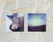Aubergine Duo - Two 5x5 Polaroid Prints