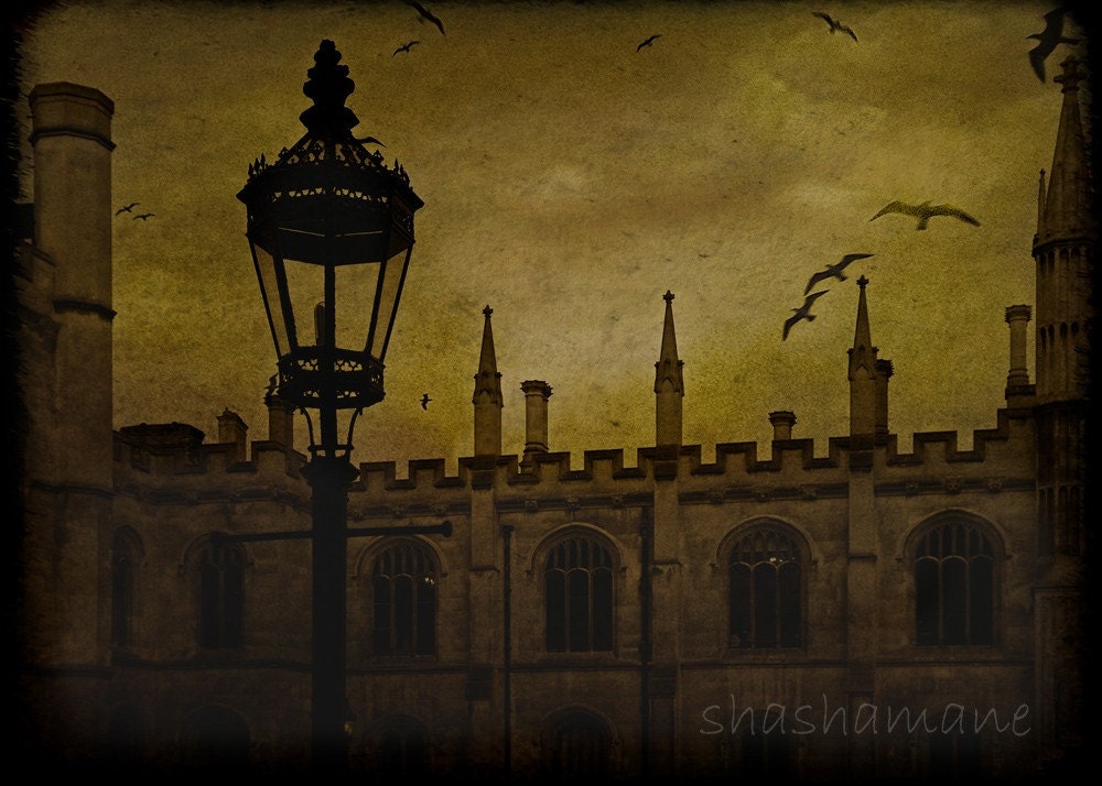 What goes on. Halloween 5x7 Gothic mood fine art photo, Harry Potter, Hogwarts style. Cambridge