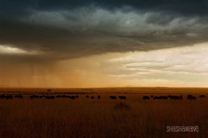 Fine art photograph 12x18 African landscape, heavy storm over the Masai Mara
