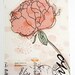 peony print art giclee pink coral flower wedding gift