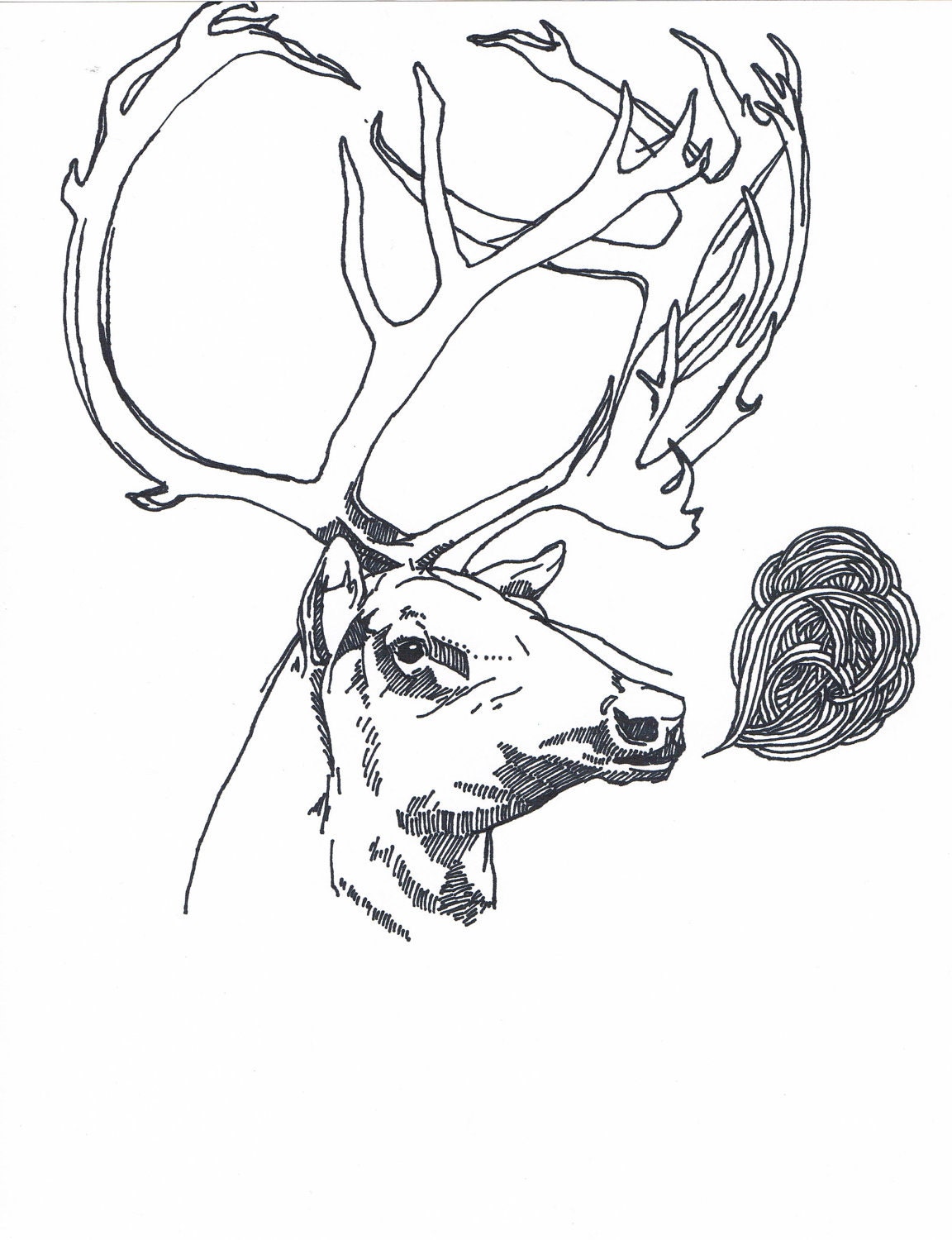 Drawings Of Elk