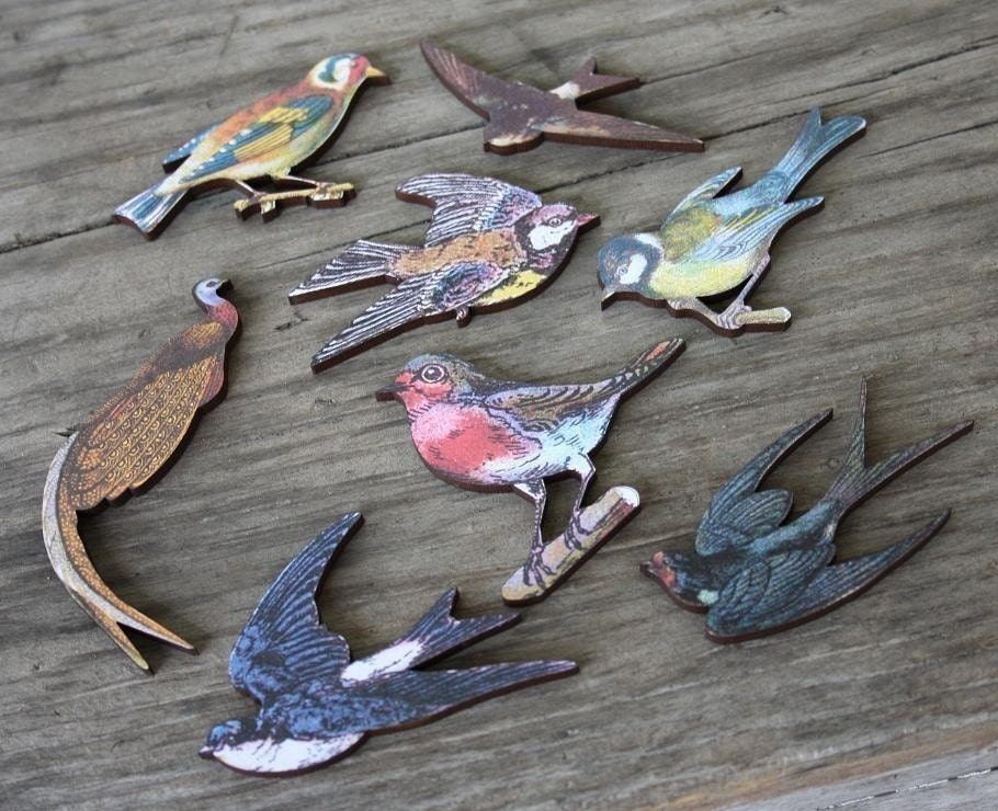 Bird Collection