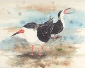 9 by 12 inch original watercolor Bird black skimmers Thinking Of Heading South humor bowman