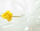 SALE: just yellow - headband