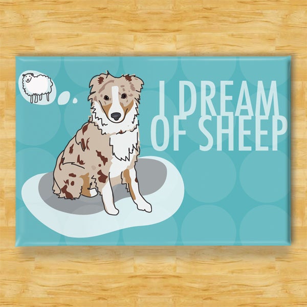 Australian Shepherd Magnet - I Dream of Sheep - Red Merle Australian Shepherd