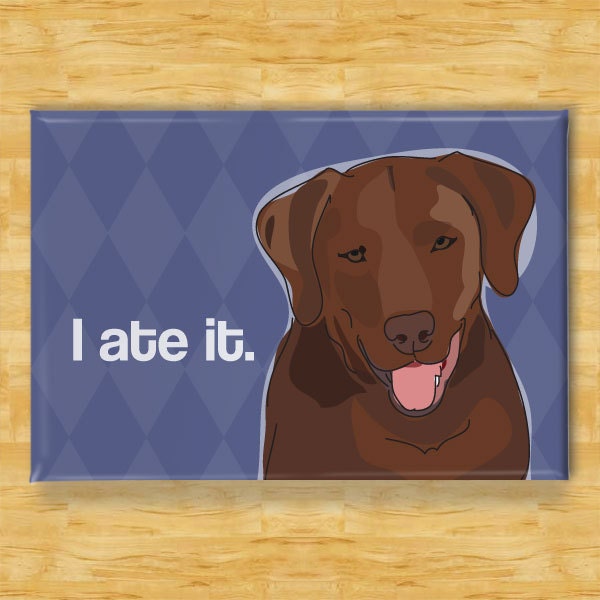 Labrador Retriever Dog Magnet - I Ate It - Chocolate Lab
