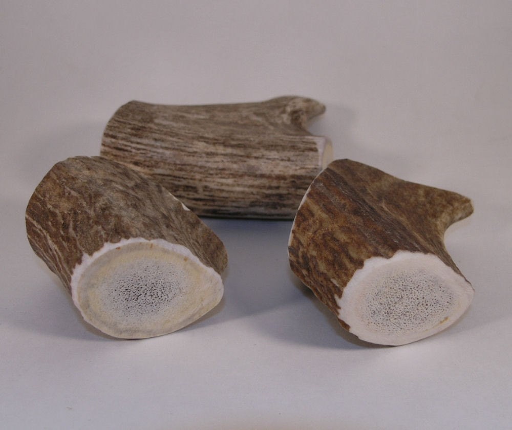 3 Medium Naturally Shed Elk Antler Dog Chew Grab Bag