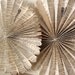 Large Vintage Book Print Fan Flowers