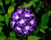 Pomander - Purple Love - Handmade Paper Flowers