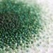 Ombre French Knots Color Progression Embroidery Hoop, A Color Study in Green - 4 inch Hoop Fiber Wall Art