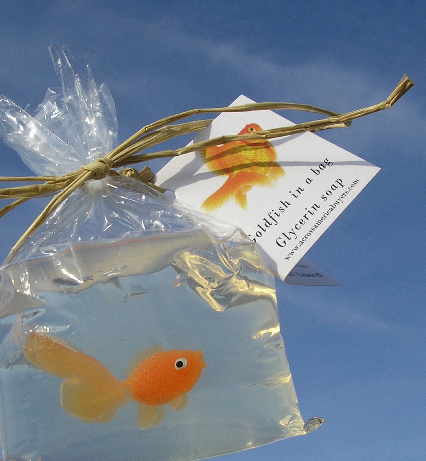 Fish in a Bag Novelty Soap 6 pack Vegan friendly party favors carnival prize fish in a bag