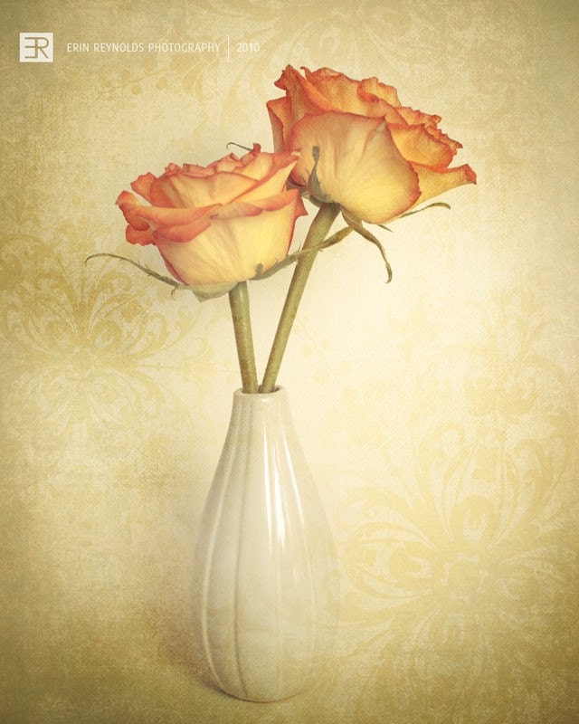Embrace - Fine Art Photography Original Print (8x10) IN STOCK