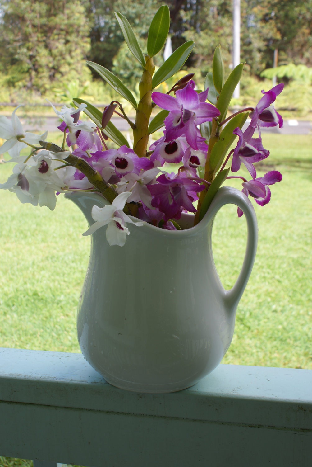 Reserved for Clopedi Please Do Not Purchase Shenango White French Chic Pitcher