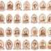 Heroes of Science: Individual Ornament