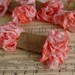 Lovingly Grunged Attic Finds RUSTING BLOSSOM ribbon, 5 yards