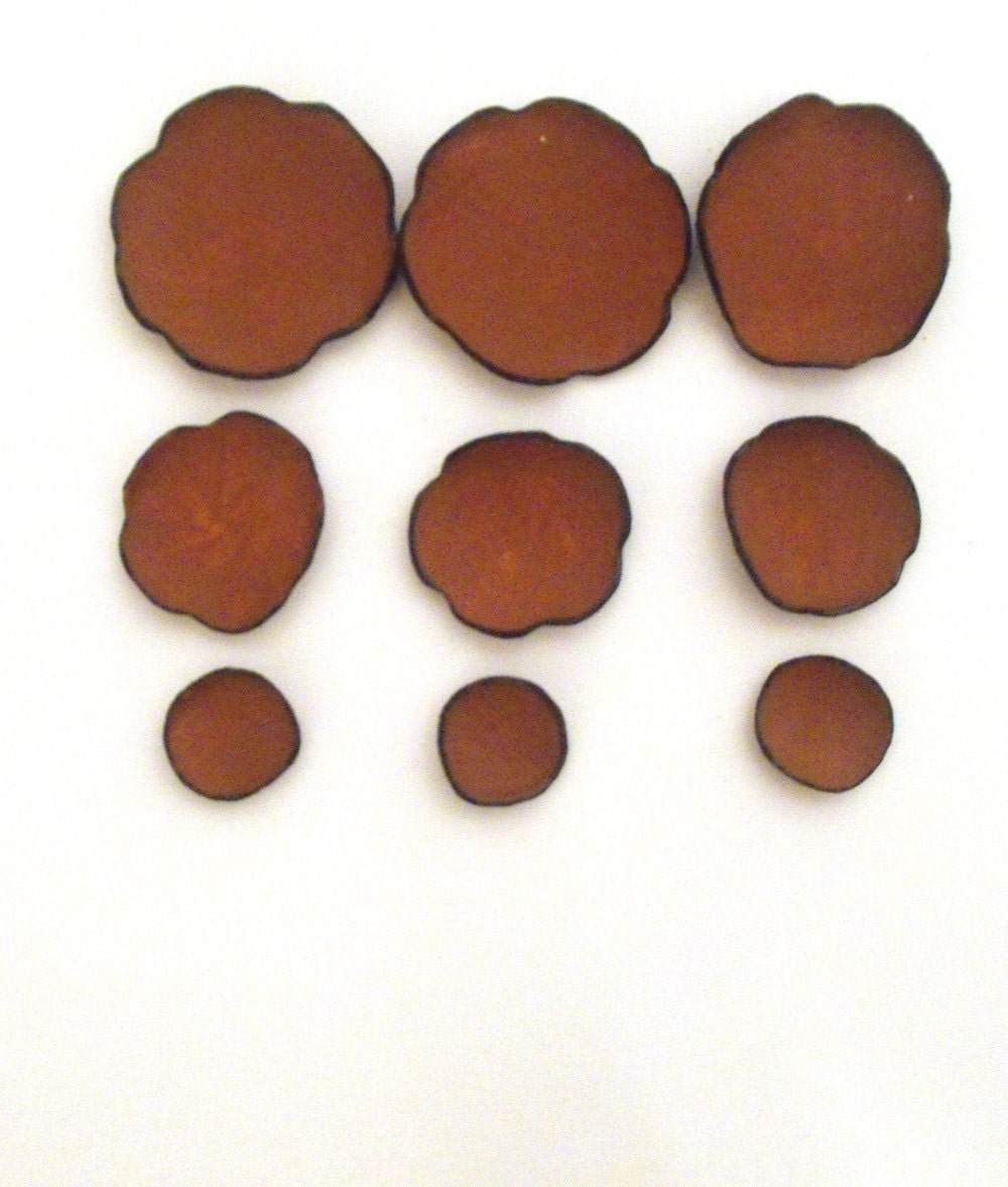 Flowers die cut shapes. Leather flowers patals Set of 9