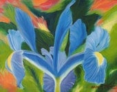 Tropical Iris