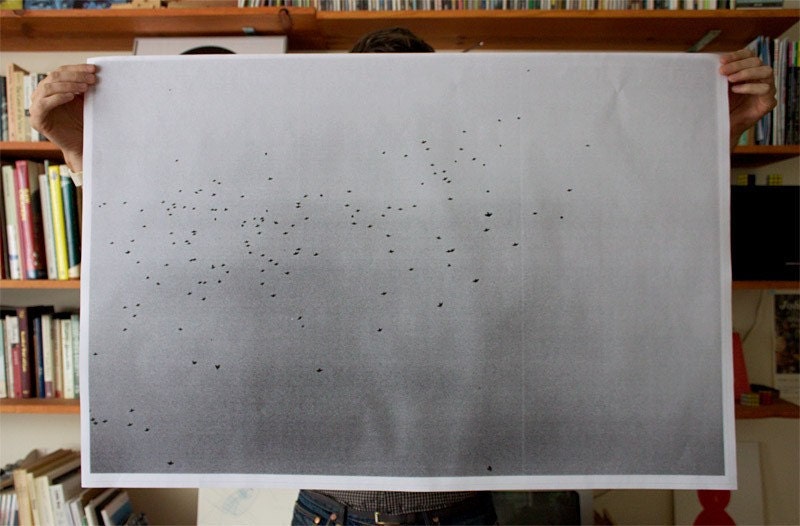 Flock Poster