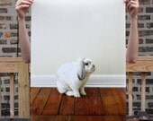 Bunny  Print  18x24"