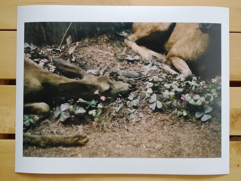 Resting Print (Human Nature)