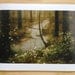 Forest Print (Human Nature)