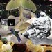 Vintage Inspired Print: Handmade "Alice" Botanical Images of Creativity Collage